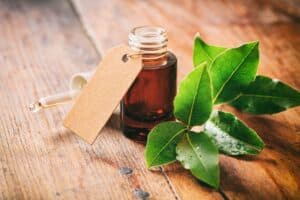 Can Tea Tree Oil Help with Gum Infections?